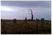 Midwest Outer Realm Followers Logo